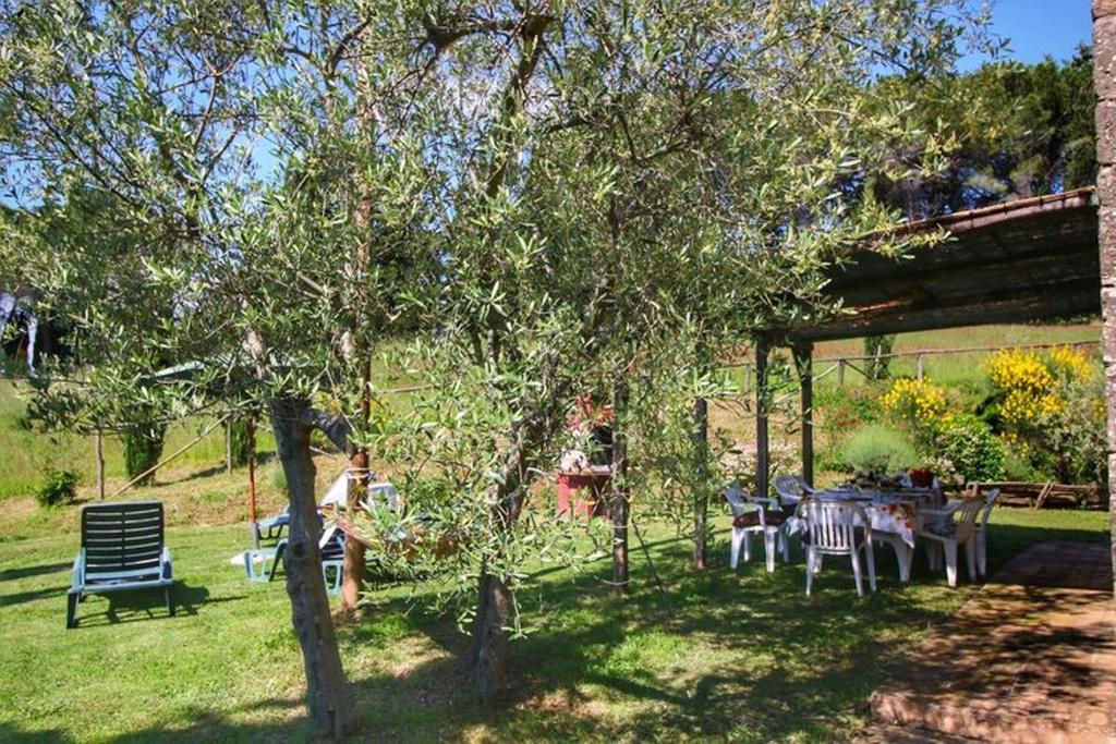 Agriturismo Bellavista Radicondoli Eksteriør billede